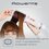 Fen-cho'tka Rowenta Volumizer CF6135F0 oq/pushti