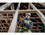 Сабельная пила DeWalt DCS369N   , Без ЗУ, Без АКБ