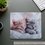 Mat Aceline OM-XS Kitten (XS) multicolored