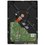 4 ТБ Жесткий диск WD Red Plus [WD40EFZZ]