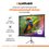 81" Экран для проектора Lumien Eco View LEV-100110