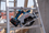 Пила дисковая Bosch GKS 185-LI Professional Solo PRO 18V