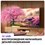 43" (109 см) Телевизор Haier 43 LED H1 черный