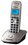 Simsiz telefon (DECT) Panasonic KX-TG2511UAN
