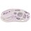 Мышь беспроводная/проводная GravaStar Mercury M1 Pro [GRAVASTAR M1 PRO_PL] фиолетовый