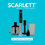 Блендер погружной Scarlett SC-HB42M35 черный