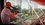 Игра Hitman: World of Assassination - Signature Edition (Switch)