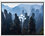 120" Экран для проектора DEXP WE-120
