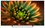 65" (165 см) Телевизор Topdevice TDTV65CS05U черный