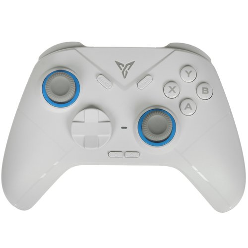 Controller wireless/wired Flydigi Direwolf 2 white