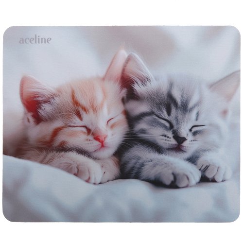 Mat Aceline OM-XS Kitten (XS) multicolored