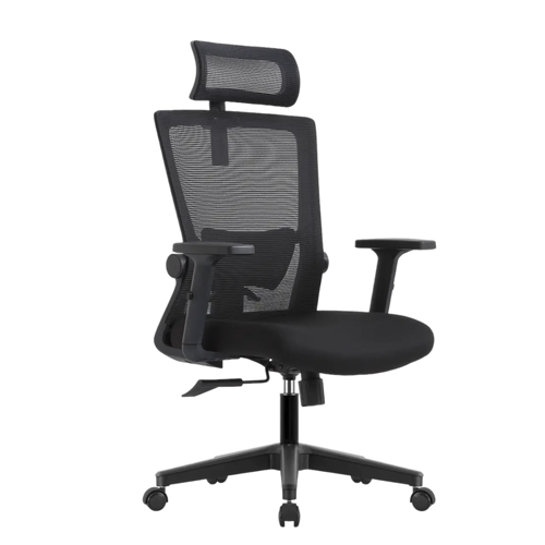 Компьютерное кресло Evolution ErgoLine 1 черный