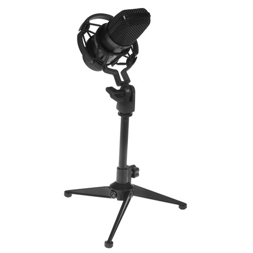 Микрофонный комплект Ritmix RDM-160 черный