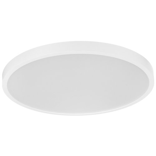 Светильник настенно-потолочный Xiaomi Mi Smart Ceiling Light D40 белый/белый