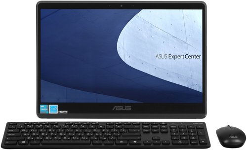 15.6" Моноблок ASUS ExpertCenter E1 E1600WKAT-BMR188X [90PT0391-M01D10]
