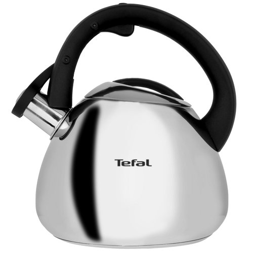 Чайник для плиты Tefal Duetto+ N4180110 серебристый