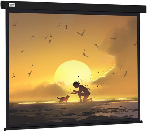 84" Экран для проектора Cactus Wallscreen CS-PSW-150X150-BK