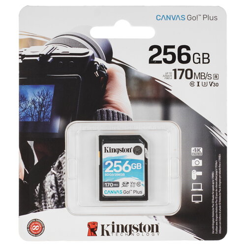 Карта памяти Kingston Canvas Go! Plus SDXC 256 ГБ [00000378471]