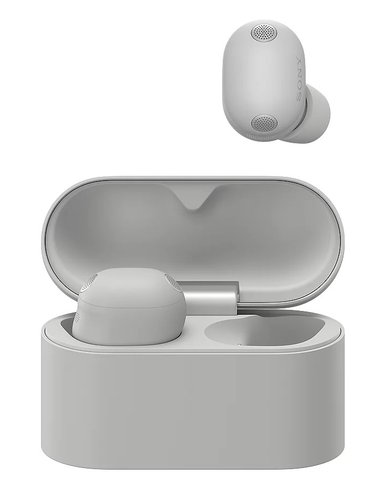 Наушники TWS Sony WF-1000XM6  серый 2026