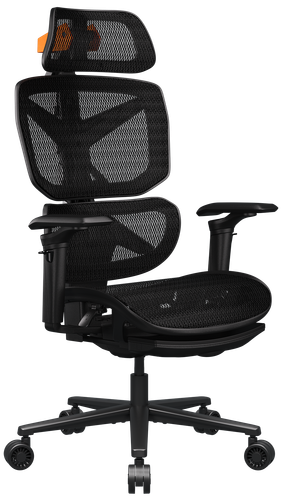 Компьютерное кресло Cougar Terminator Air черный