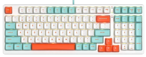 Keyboard  wired A4Tech Fstyler FS300
