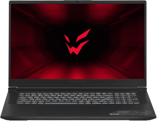 17.3" Ноутбук ARDOR GAMING EVO E17-I7ND501 черный