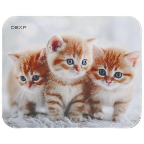Коврик DEXP Kittens (XS) разноцветный
