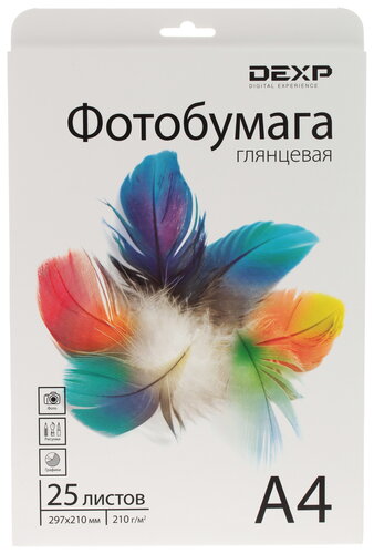 Фотобумага DEXP Glossy 0808859