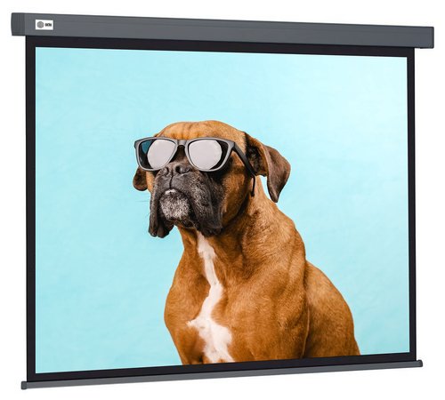 120" Экран для проектора Cactus Wallscreen CS-PSW-149X265-SG