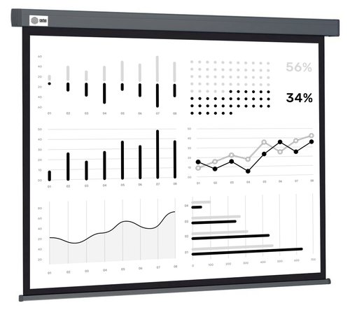 100" Экран для проектора Cactus Wallscreen CS-PSW-180X180-SG