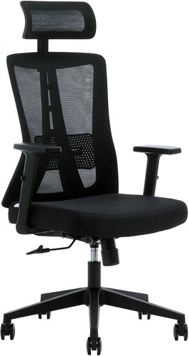 Компьютерное кресло Evolution ErgoLine 3 черный
