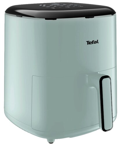 Аэрогриль Tefal EY2454E0 зеленый