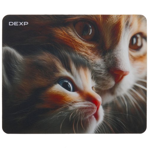 Gilamcha DEXP Kitten OM-XS (XS) rang-barang