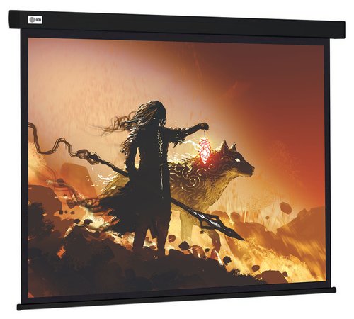 120" Экран для проектора Cactus Wallscreen CS-PSW-149X265-BK