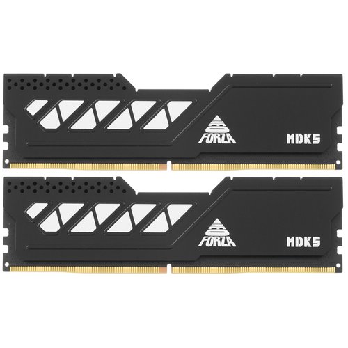 Buy RAM Neo Forza MDK5 [NMUD516F82-6000LL20] 32 GB in the online store ...