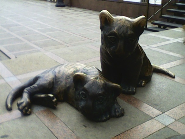 Как установить и настроить JAVA (игры, приложения icq) в телефон Samsung при помощи кабеля