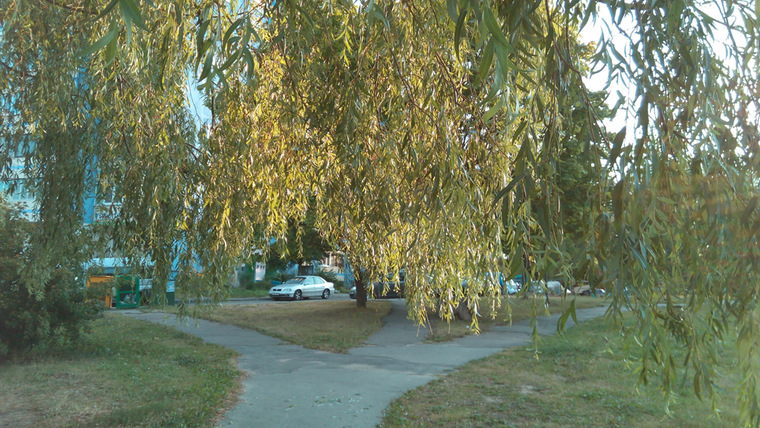 Купить 4.5" Смартфон DEXP Ixion XL145 Snatch 8 ГБ белый в интернет магазине DNS. Характеристики, цена DEXP Ixion XL145 Snatch | 1022276