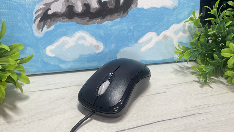 Обзор проводной мыши Microsoft Basic Optical Mouse