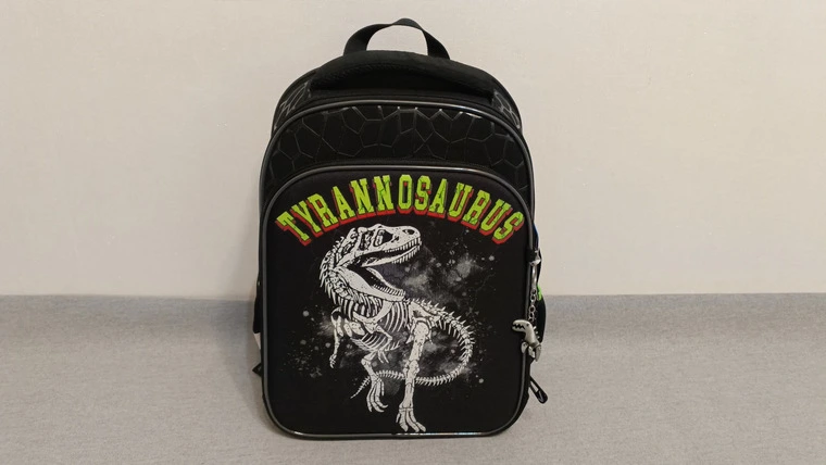 Обзор рюкзака BRAUBERG QUADRO Tyrannosaur