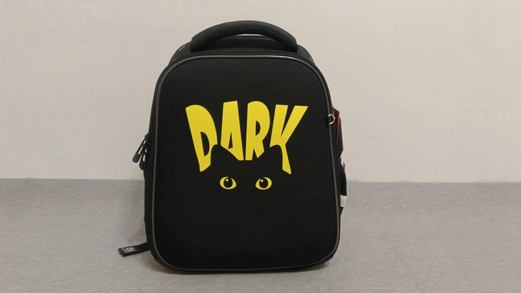 Обзор рюкзака BRAUBERG FIT Dark cat