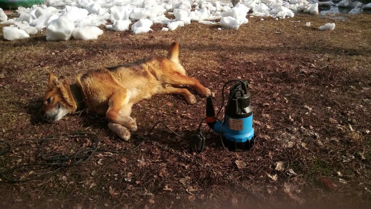 Обзор фекального насоса Джилекс ФЕКАЛЬНИК 140/6. Эксплуатация в деревне ...