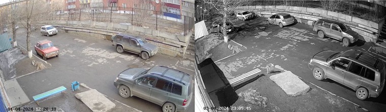 Изображение при дневном свете  и ночное с подсветкой. 