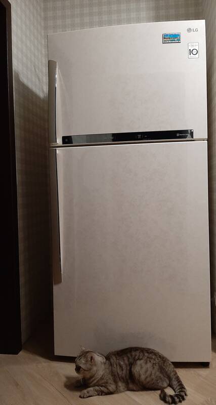 lg gn h702hehz