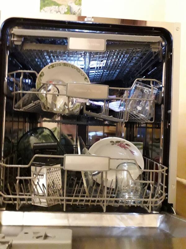 zigmund shtain dw 129 6009 x