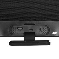 Портативная колонка Aceline P550, черный