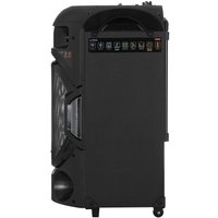 Портативная аудиосистема Aceline V880, черный