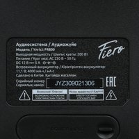 Портативная аудиосистема Fiero Emotion 100 FR800, черный