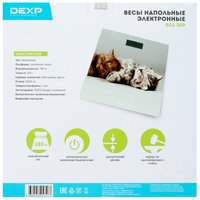 Scales DEXP SCL-30P multicolored
