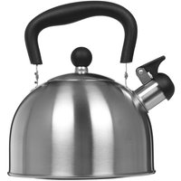 Чайник для плиты Aceline TS-251 серебристый