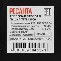 Тепловая пушка газовая Ресанта ТГП-12000